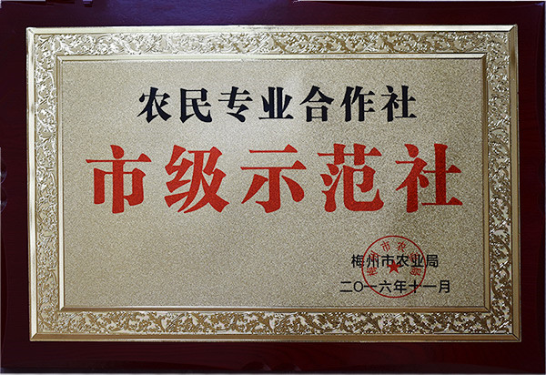 農(nóng)民專(zhuān)業(yè)合作社市級(jí)示范社